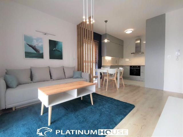 Mieszkanie 37 m² z kuchnią z oknem na wynajem Zielona Góra, Zacisze