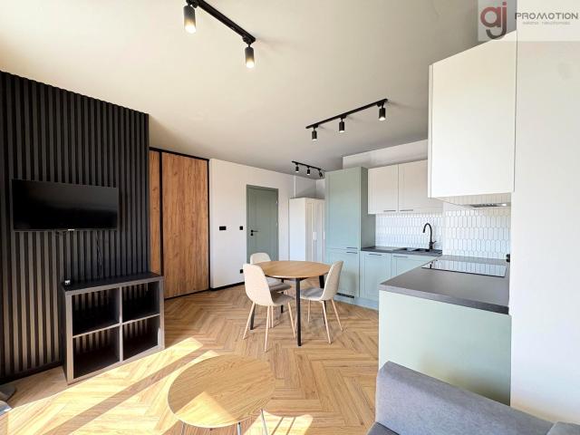 Mieszkanie 38 m² z aneksem kuchennym na wynajem Łódź, Śródmieście