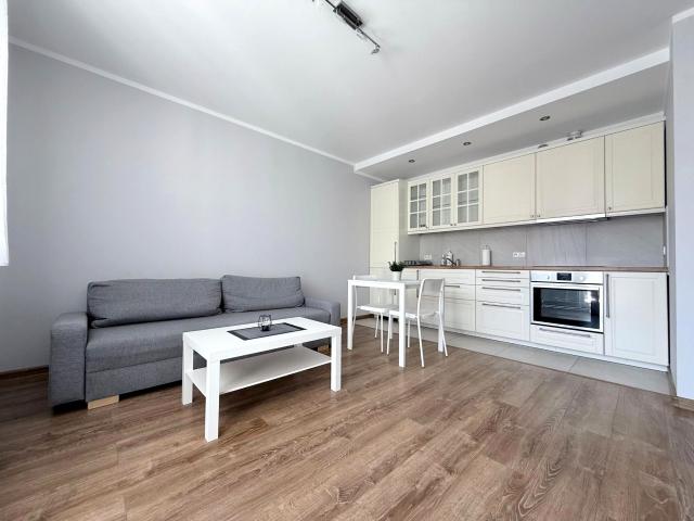Mieszkanie 38,50 m² z aneksem kuchennym na wynajem Poznań, Grunwald