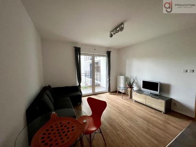 Mieszkanie 39,74 m² z aneksem kuchennym na wynajem Łódź, Śródmieście