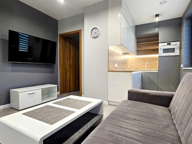 Mieszkanie 30 m² z aneksem kuchennym na wynajem Rybnik, Zebrzydowice