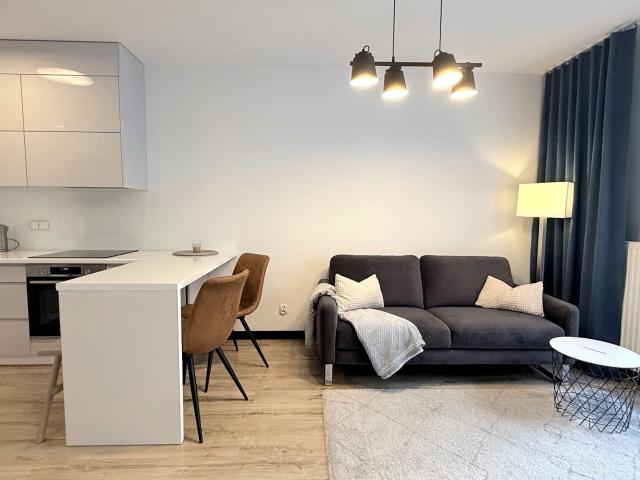 Mieszkanie 30 m² z aneksem kuchennym na wynajem Wrocław, Śródmieście