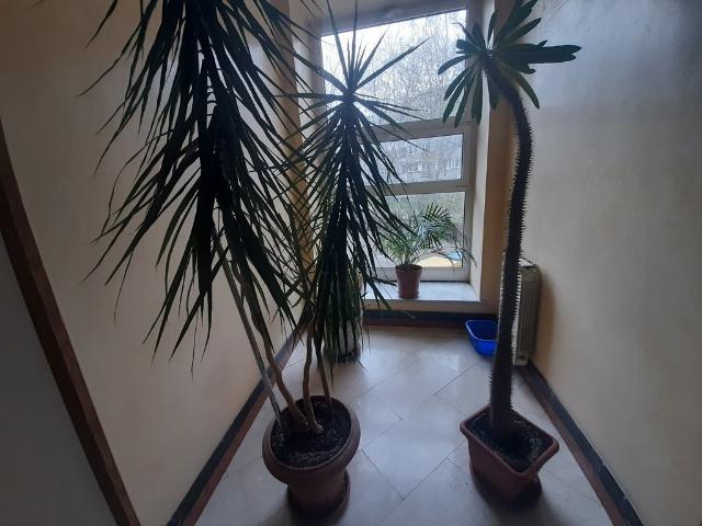 Mieszkanie 31 m² w Wrocławiu blisko Rynku z dużym balkonem