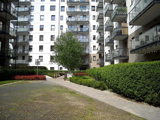 Mieszkanie 31,57 m² z kuchnią w zabudowie na wynajem ul. Grudziądzka, Gdańsk, Wrzeszcz Dolny
