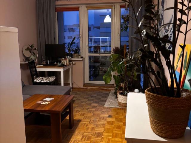 Mieszkanie, 33 m