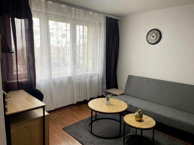 Mieszkanie 33 m² z kuchnią z oknem na wynajem Sosnowiec, Zagórze