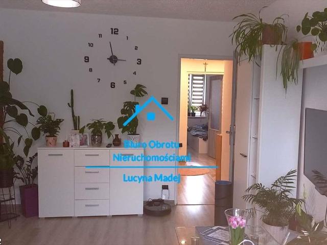 Mieszkanie 44 m² w Wadowicach balkon, piwnica, centrum