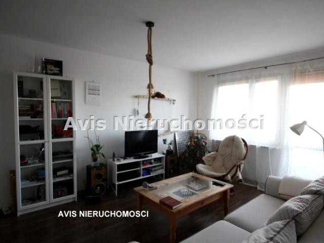 Mieszkanie 45 m² z kuchnią w zabudowie na wynajem Świdnica, Zawiszów