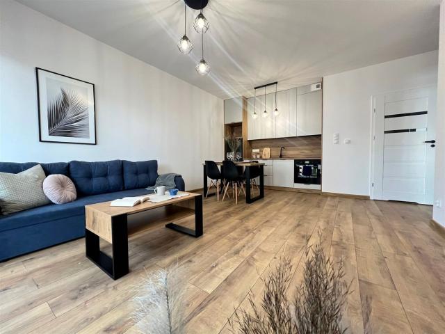 Mieszkanie 47,71 m² z aneksem kuchennym na wynajem ul. Rydza Śmigłego, Sosnowiec, Kolonia Pekin