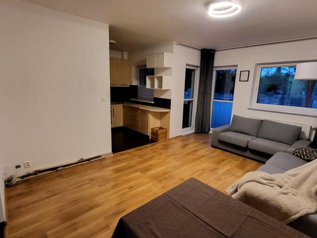 Mieszkanie 49 m² z aneksem kuchennym na wynajem ul. Bratumiły, Poznań, Naramowice