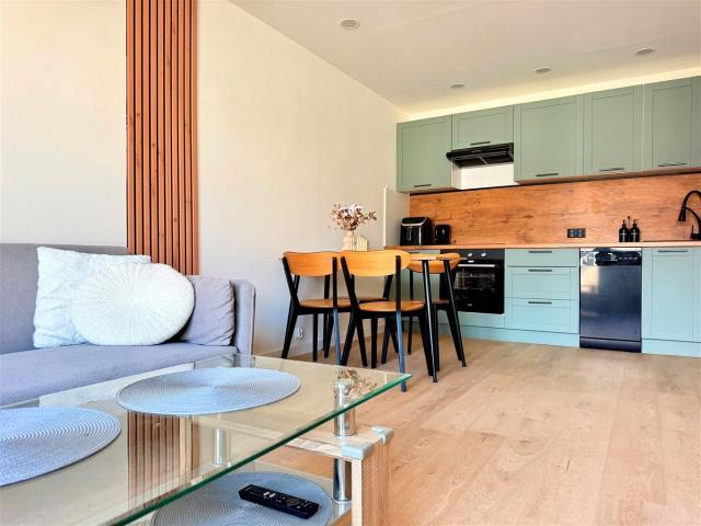 Mieszkanie 42,53 m² z aneksem kuchennym na wynajem ul. Moniuszki, Cieszyn