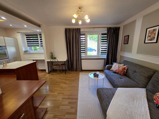 Mieszkanie 43 m² z kuchnią w zabudowie na wynajem Sosnowiec, Zagórze