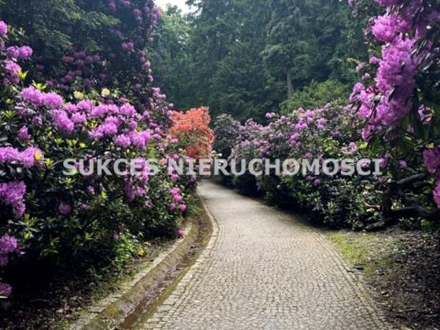 Mieszkanie 51,16 m², Szczawno Zdrój