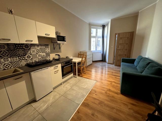 Mikrokawalerka 24,57 m² z aneksem kuchennym na wynajem Poznań, Stary Rynek