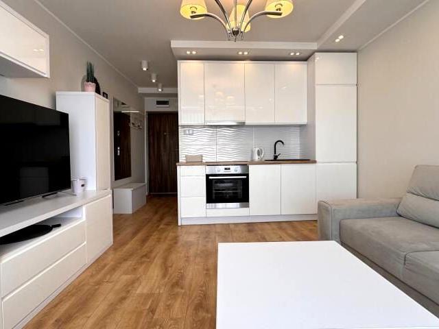 Mikrokawalerka kawalerka z kuchnią z oknem 22,56 m² na wynajem Elbląg, Stare Miasto