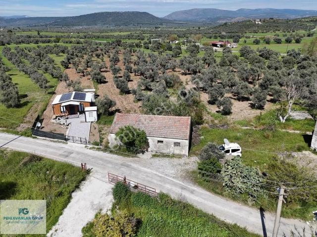 Milas Gökçeler Mah Satılık Müstakil Ev Ve Bahçesi pehlevanlardan