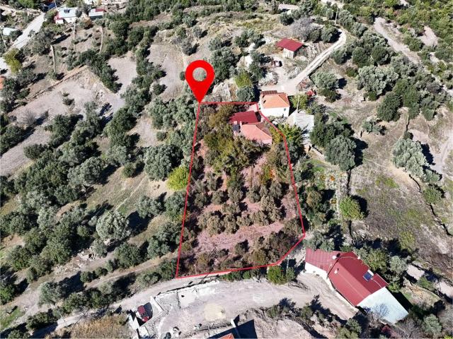 Milas Hasanlar’da 2.266 M² 2 Katlı Kargir Ev + Tarla yatırıma Uygun, Bölünebilir