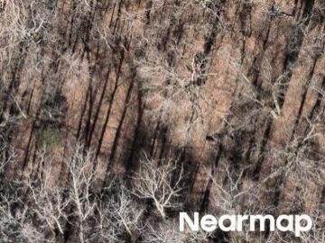 Palmerdale, Pinson city, Jefferson County, Alabama, Alabama, USA