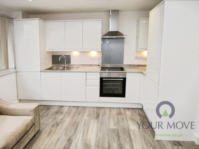 Mill Street, Bedfordshire MK40 1 bed flat to rent £950 pcm £219 pw