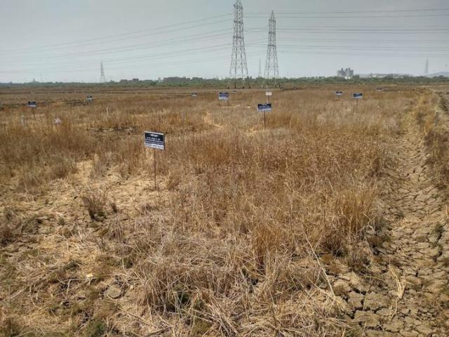 Mira Road East Residential Plot For Sale Mira Bhayandar