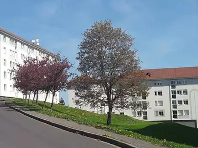 Mirecourt 88500 Location appartement 3 pièces t3 cave
