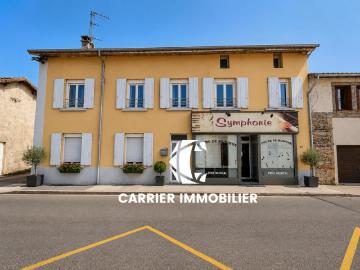 MIRIBEL CENTRE VILLE ENSEMBLE IMMOBILIER DE 540 M2