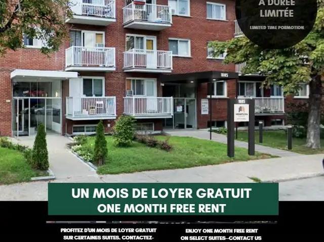 Mistral Immobilier — 1 Bedroom Renovated