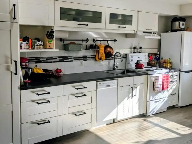 Mission one bedroom with lots of natural light — 1 Bedroom Apartment