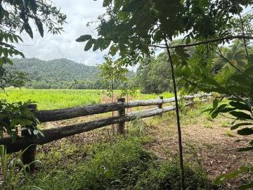 Friday Pocket, Cassowary Coast Regional, Low Island, Queensland, Queensland