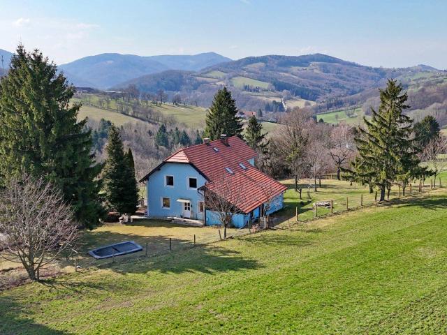 Mitten im Grünland! Einzigartige Panoramalage im Laabental Hobby Tierhaltung!