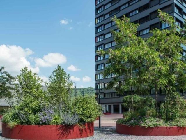 Mitten in der Stadt und doch im Grünen!