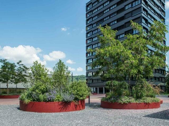 Mitten in der Stadt und doch im Grünen!