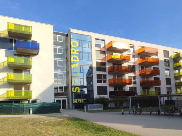 Mietwohnung, 2 Zimmer + Küche mit Essbereich + Balkon, in Linz Stadt