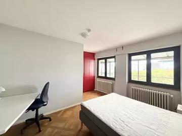 Mittelhausbergen 67206 Location appartement 1 pièce t1