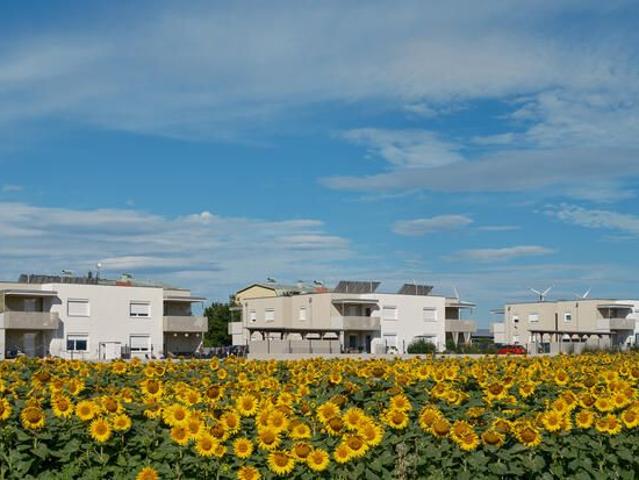 Mitterweg 6/2 Zemendorf