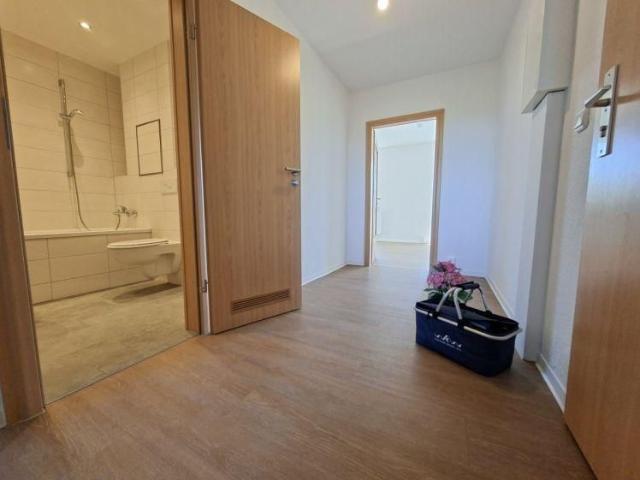 Mit Ausblick: 3 Raumwohnung mit Wanne in Kappel Chemnitz
