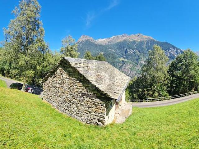 Mit blick zwischen sonne und natur