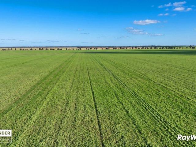 Mitiamo Mixed Cropping & Grazing Haw Aggregation
