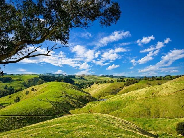 Mixed Topography, Wilkur Creek and Operational Appeal | 83.70ha