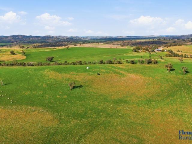 Mixed Farming Opportunity Cowra District