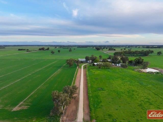 Mixed Farming Opportunity 242.7 Hectares | 600 Acres approx