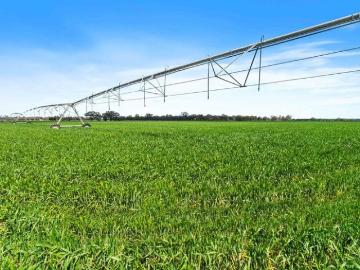 Mixed Farming Opportunity