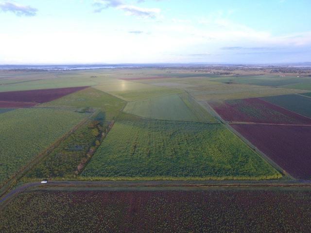 MIXED FARMING OPPORUNITY EAST CORAKI