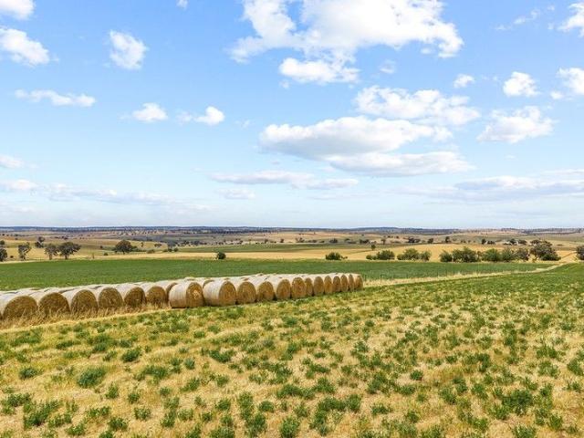 Mixed Farming and Grazing Asset