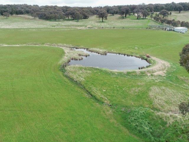 Mixed Farming and Grazing Property Vendor Motivated