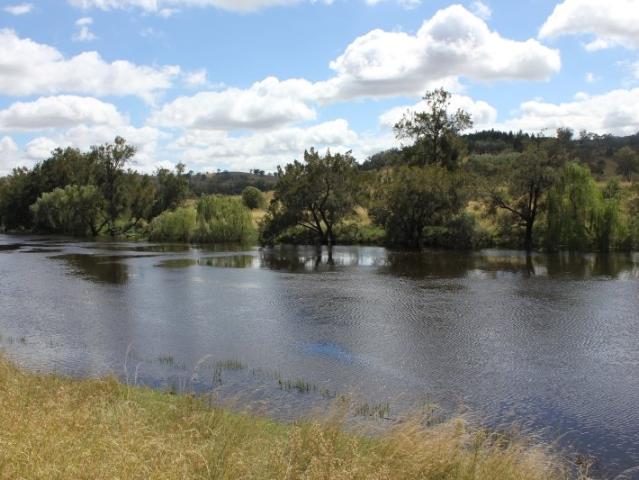Mixed Grazing Property With Severn River Magic, 1528 Acres 618 Ha