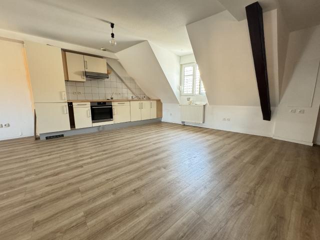 Mommenheim Appartement type F3 en duplex 80m2 carrez et 105m2 au sol