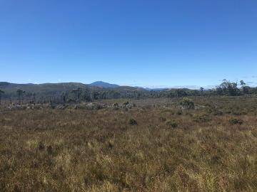 Montana Flats is a 95 acre property, mainly button grass plains, absolute privacy, no other properties visable to the horizon