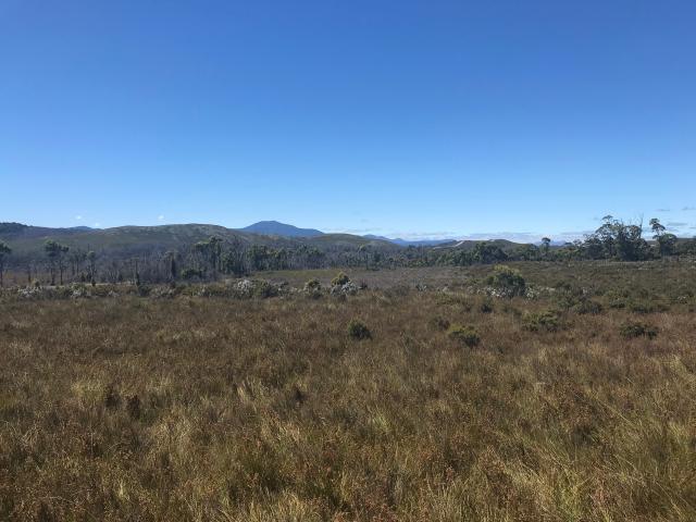 Montana Flats is a 95 acre property, mainly button grass plains, absolute privacy, no other properties visable to the horizon