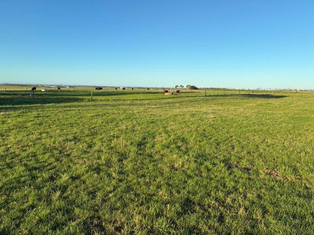 Montagu Grazing Block